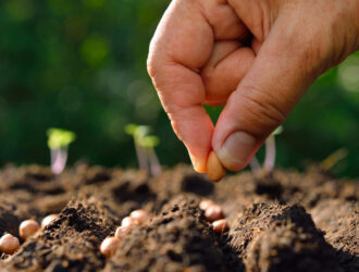 Как работает настоящая безопасность: закулисье базы «Семяныча»