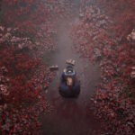 Производительность Silent Hill F: Unreal Engine 5 хорошо использована