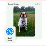 Pixel 10 преодолевает барьер AirDrop и бросает вызов закрытой экосистеме Apple